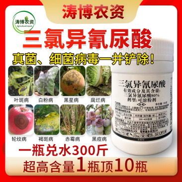 80%三氯异氰尿酸蔬菜果树黄瓜菌核病灰霉病疫病紫斑病