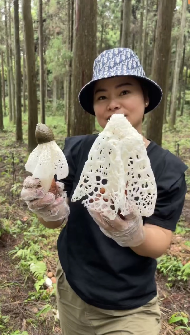 红托竹荪全国发货基地直供欢迎采购可视频看货
