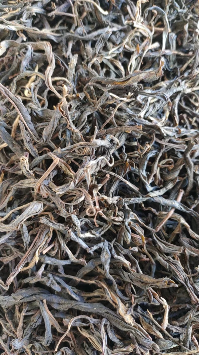 云南高山普洱茶产地直供量大从优电商勿扰