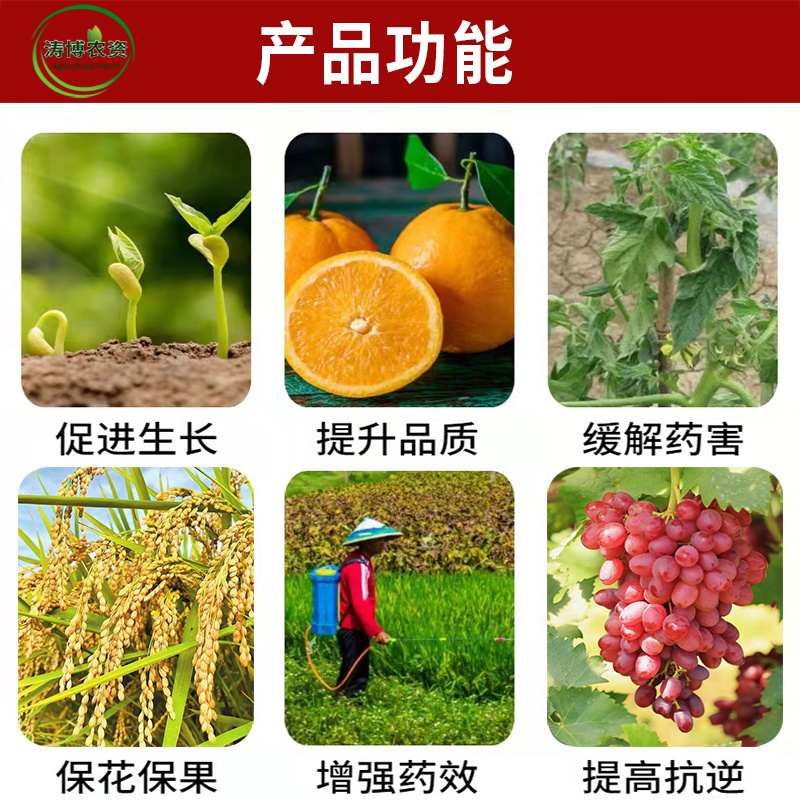 14羟基芸苔素甾醇天然芸苔素内酯蔬菜花卉果树植物生长调节