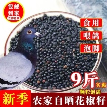 四川花椒籽鸽粮麻椒粒喂鸽子赛鸽椒目喂养信鸽喂鸡花椒籽泡脚