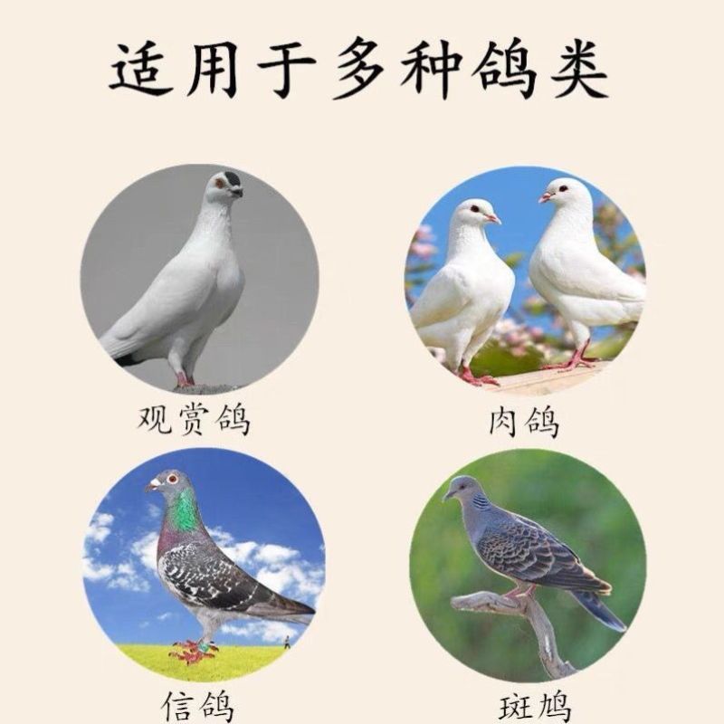 四川花椒籽鸽粮麻椒粒喂鸽子赛鸽椒目喂养信鸽喂鸡花椒籽泡脚