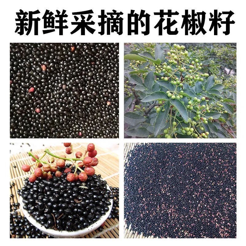 四川花椒籽鸽粮麻椒粒喂鸽子赛鸽椒目喂养信鸽喂鸡花椒籽泡脚