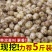 新货苦藠头小根蒜团葱苦茭苦叫小蒜头野生苦叫野小蒜苦茭团葱