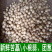新货苦藠头小根蒜团葱苦茭苦叫小蒜头野生苦叫野小蒜苦茭团葱