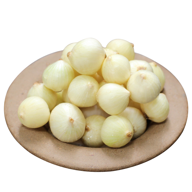 新货苦藠头小根蒜团葱苦茭苦叫小蒜头野生苦叫野小蒜苦茭团葱