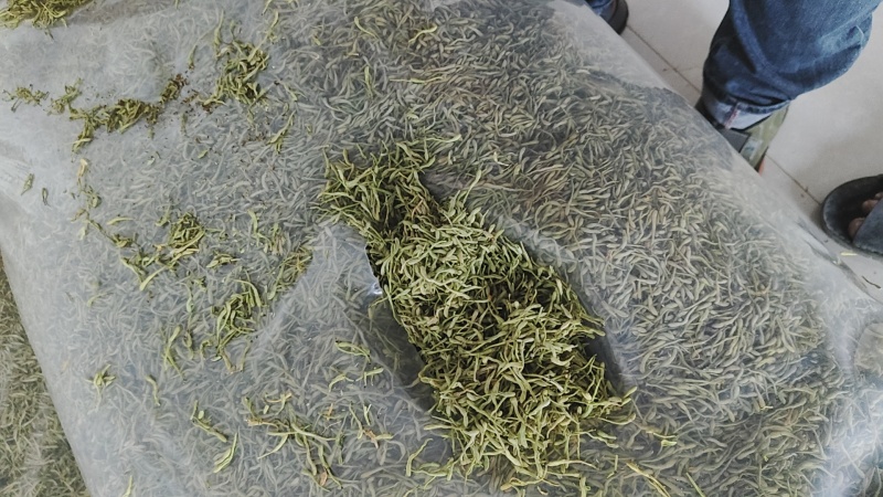 金银花绿货厂家直发品质保证欢迎咨询合作