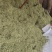 金银花绿货厂家直发品质保证欢迎咨询合作