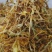 黄金银花厂家直发欢迎咨询合作量大价优