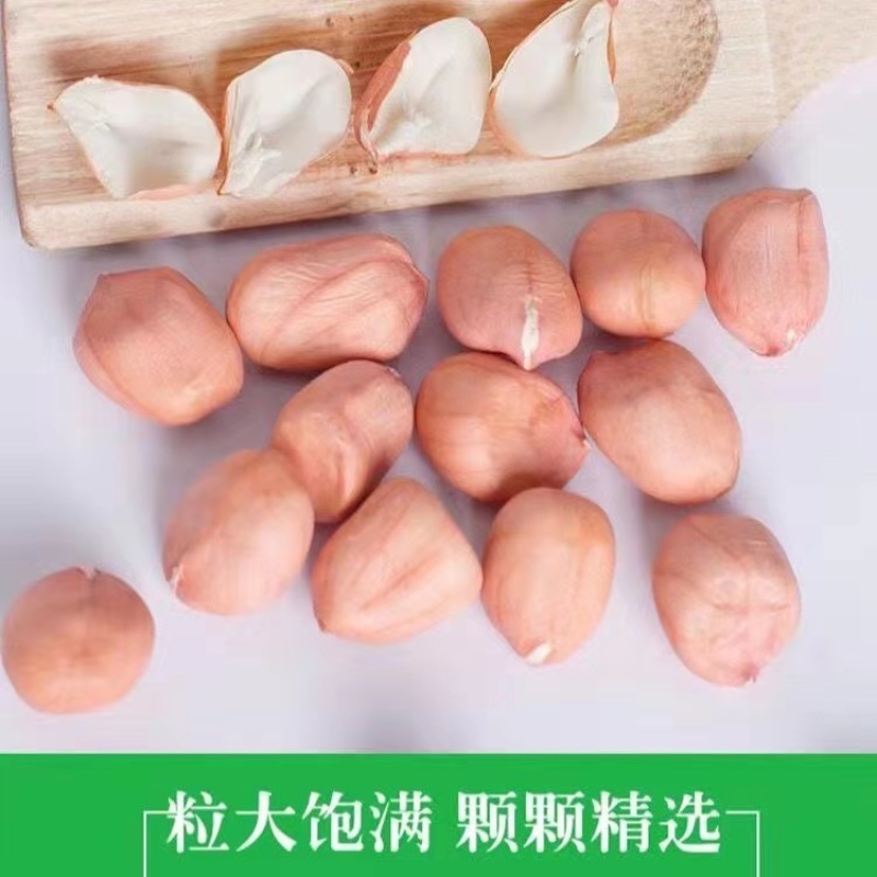 【推荐】手剥米308大白沙精品花生品质保障可视频看货