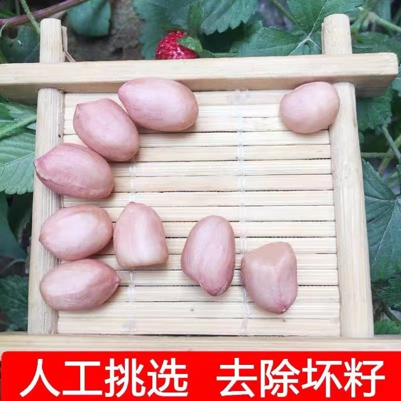 【精品】推荐江苏本地308大白沙