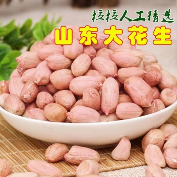 【推荐】精品鲁花手剥米鲁花1号花生品质保障价优欢迎
