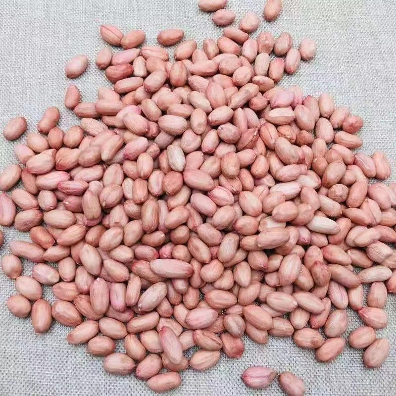 【推荐】精品鲁花手剥米鲁花1号花生品质保障价优欢迎