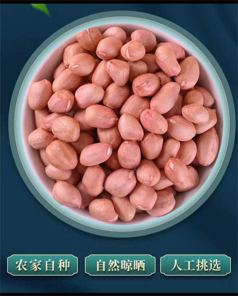 【推荐】精品鲁花手剥米鲁花1号花生品质保障价优欢迎