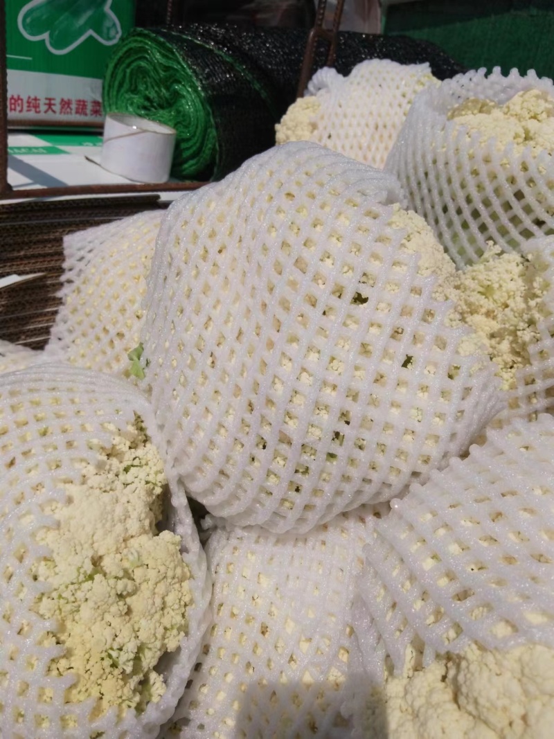 【优选】甘肃松花菜-产地直发-高品质价格优惠-支持视频看货