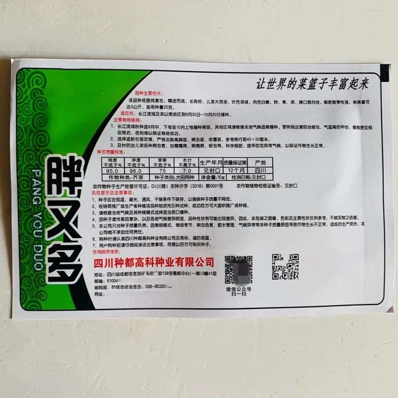 胖又多儿菜种子
