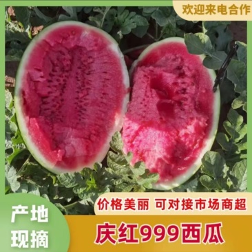 诚信经营/庆红999西瓜/地雷瓜/各种西瓜/内蒙西瓜