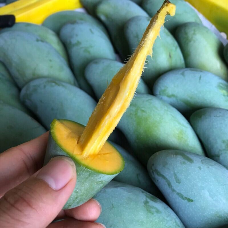 【一件代发】广西百色桂七芒果支持各大电商平台代发