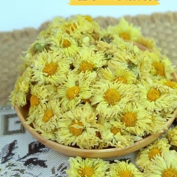 菊花茶杭白菊花桐乡特级正宗杭菊杭州贡菊胎菊250g商用批