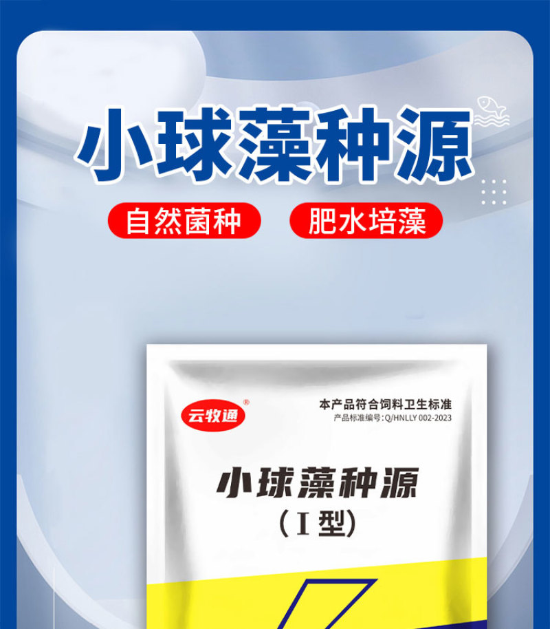 水产养殖小球藻种源肥水增氧天然藻种定向培藻