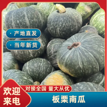 陕西省大荔县露天板栗南瓜🎃扁圆形绿黑色蛋黄心果肉