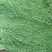 【实力供货】精品一级贡菜货源充足全国发货