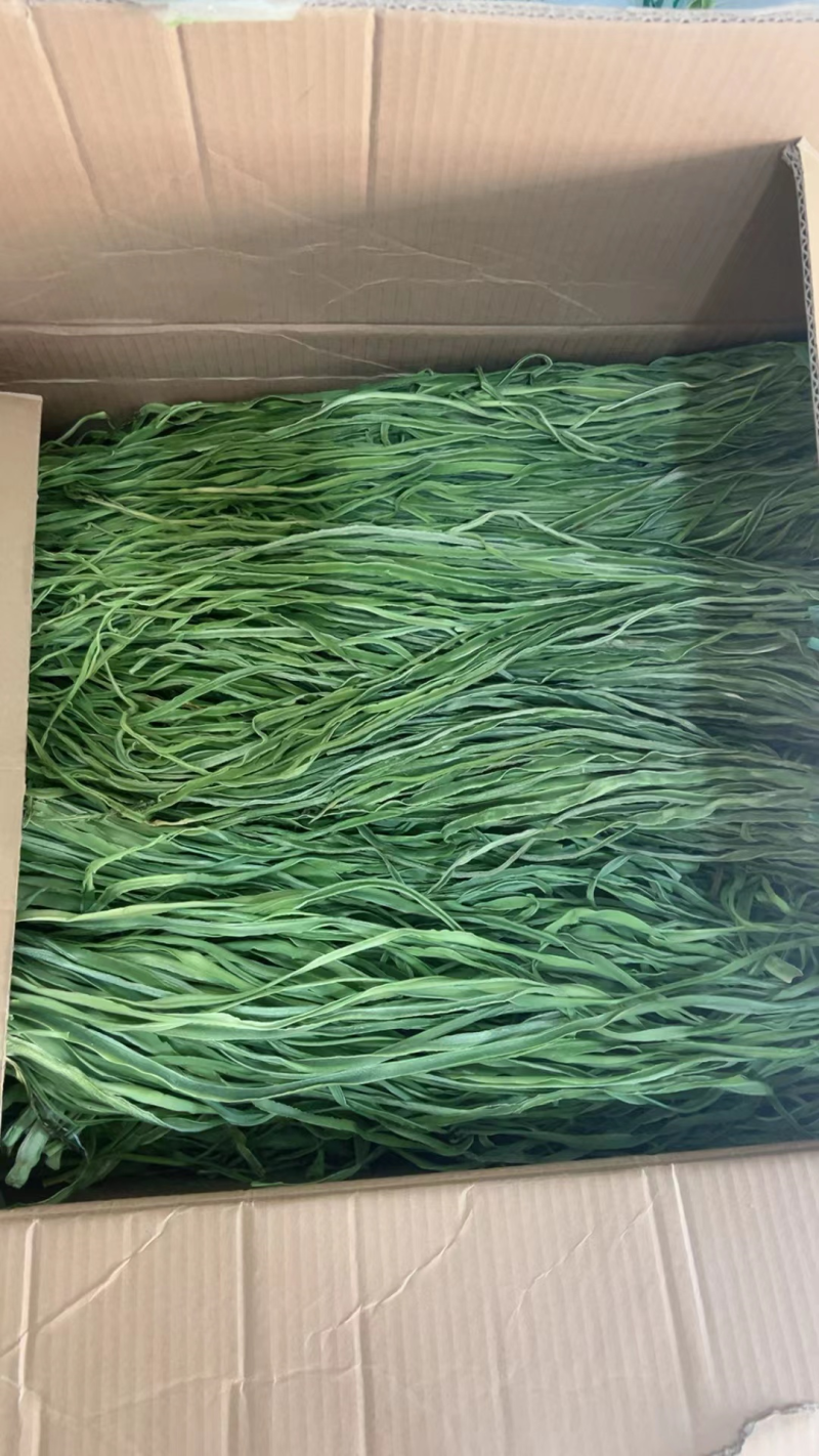 【实力供货】精品一级贡菜货源充足全国发货