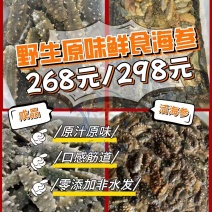 精品海参源头工厂直发量大从优保质保量欢迎电话洽谈