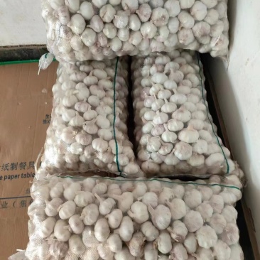 大蒜河南干大蒜量大质优价格优惠品质优欢迎选购