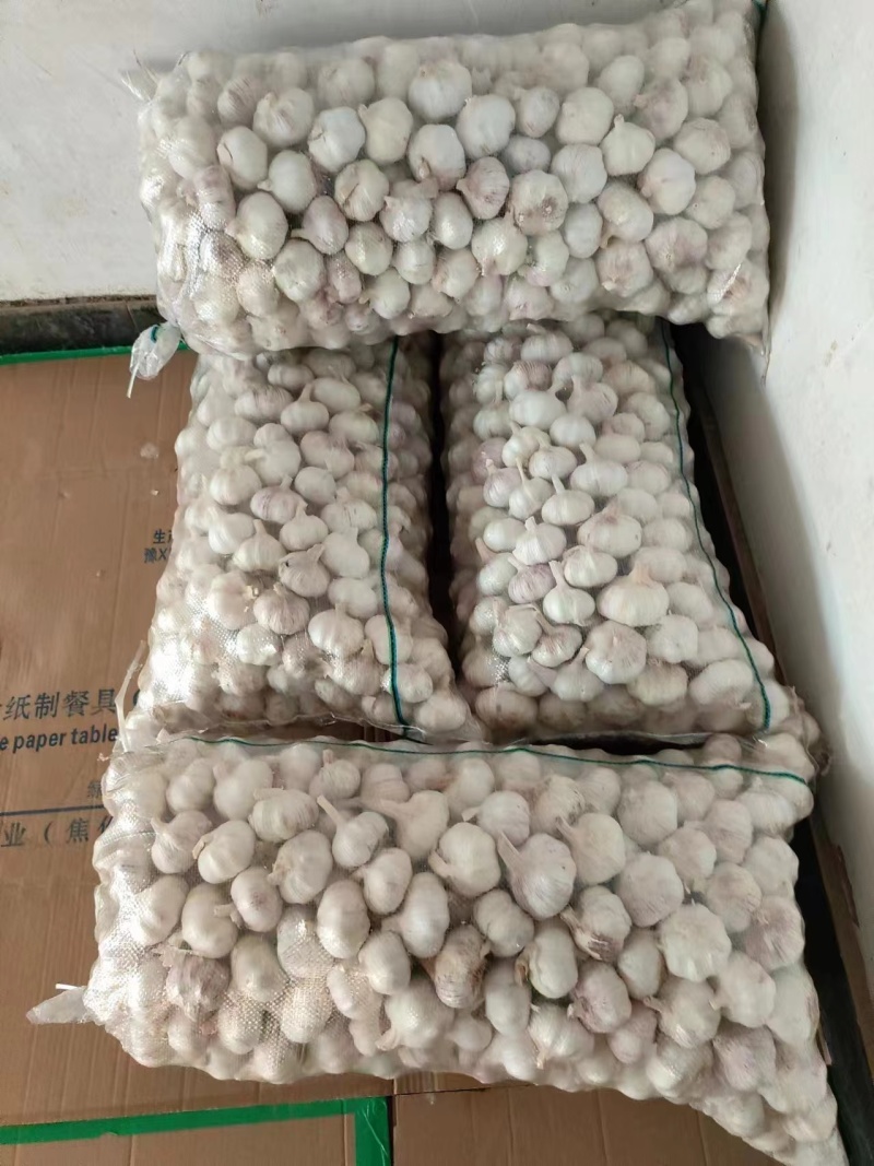 大蒜河南干大蒜量大质优价格优惠品质优欢迎选购