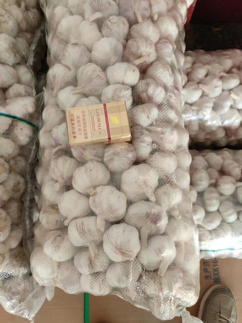 大蒜河南干大蒜量大质优价格优惠品质优欢迎选购