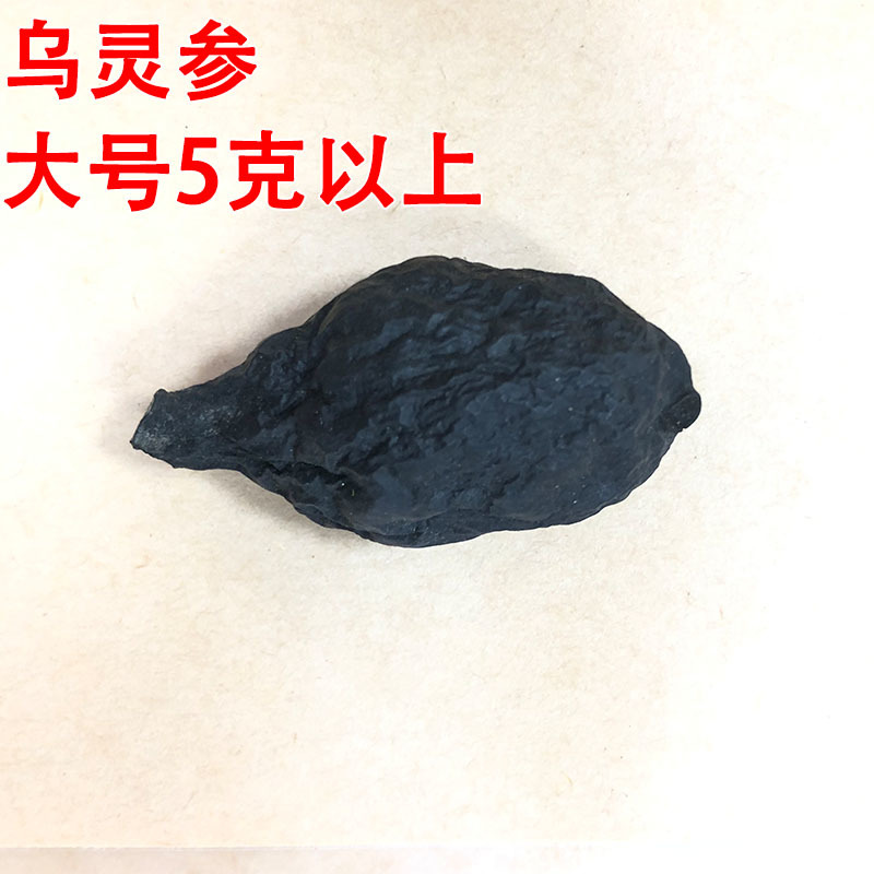 云南乌灵参批发乾坤参吊金钟鸡枞胆雷震干货100克/件