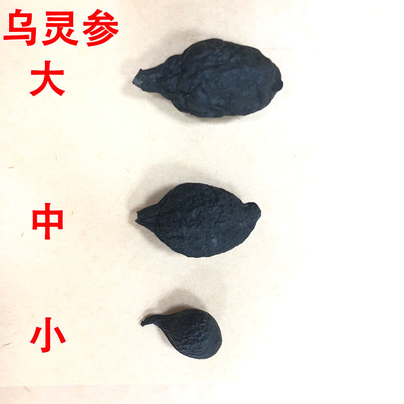 云南乌灵参批发乾坤参吊金钟鸡枞胆雷震干货100克/件