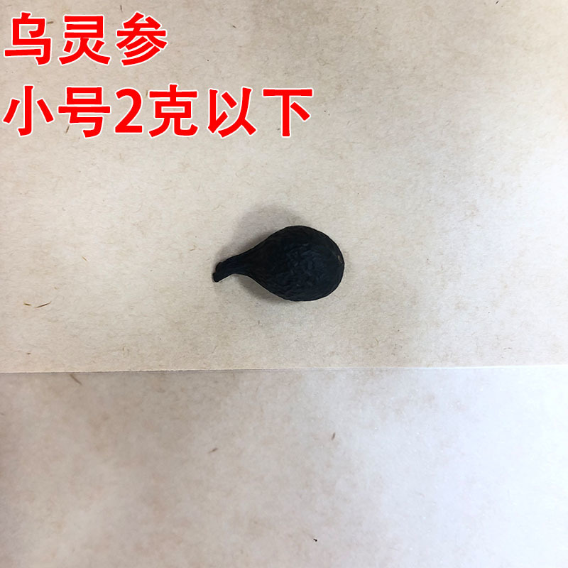 云南乌灵参批发乾坤参吊金钟鸡枞胆雷震干货100克/件