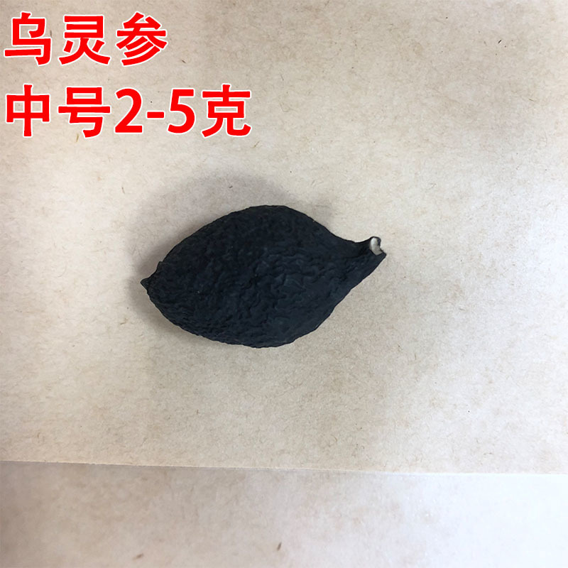 云南乌灵参批发乾坤参吊金钟鸡枞胆雷震干货100克/件