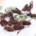 玉兰花茶玉兰花干花玉兰花一件批发量大从优