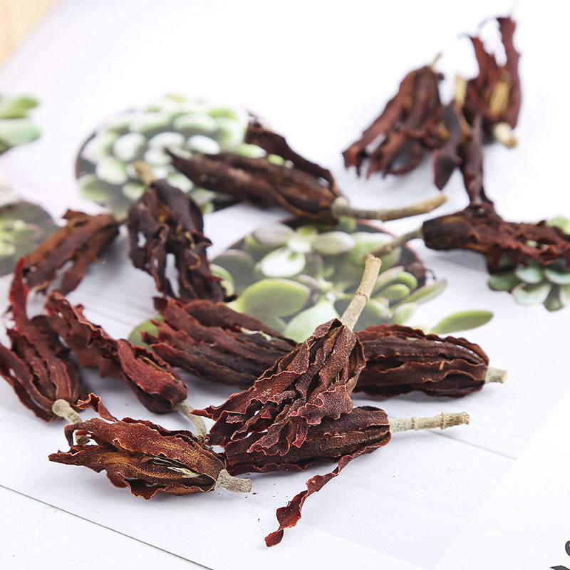 玉兰花茶玉兰花干花玉兰花一件批发量大从优