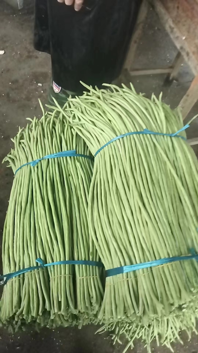 【推荐】广西精品豆角青条豆角产地直发品质保障价优欢迎