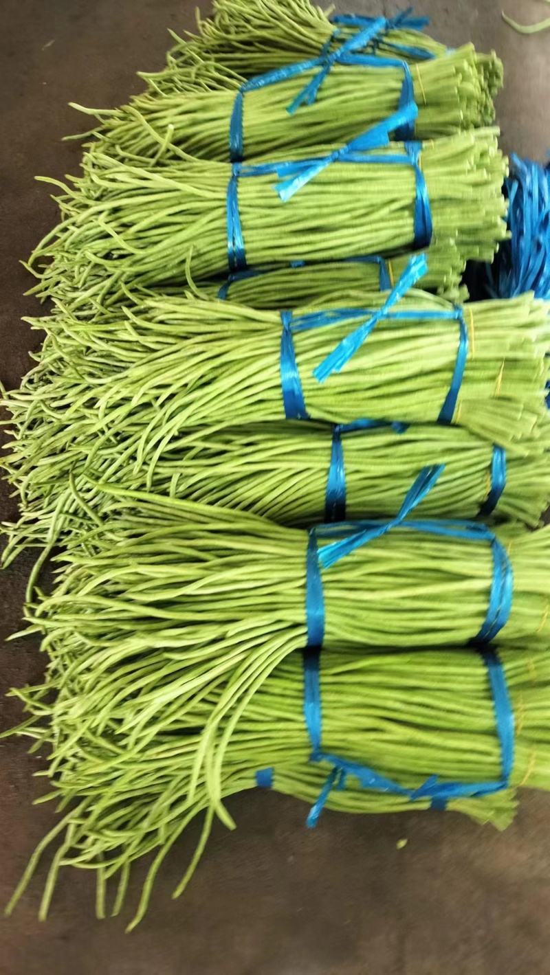 【推荐】广西精品豆角青条豆角产地直发品质保障价优欢迎