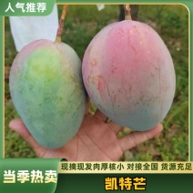 攀枝花芒果🥭大量上市，供应全国市场电商