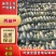 西葫芦，河北西葫芦，基地大量上市产地直发高品质保障