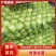河北精品甘蓝圆甘蓝一手货源大量供应保质保量