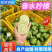 【香水柠檬】广西柠檬青柠檬自产自销现摘现发全国发货