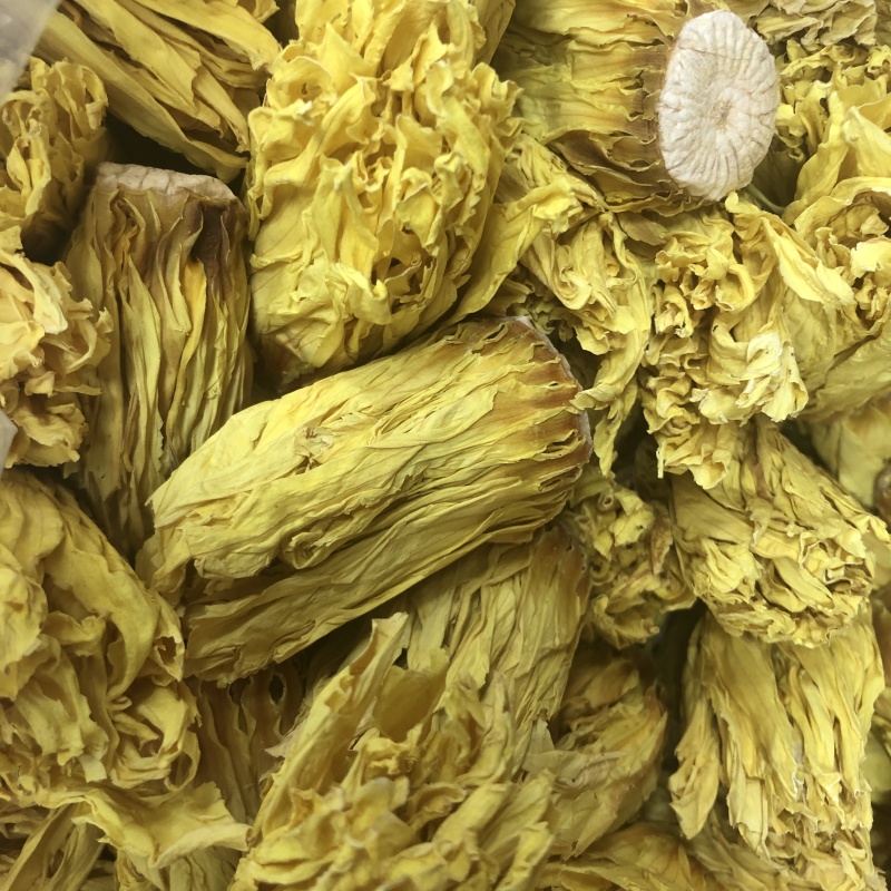 九品香水莲睡莲金莲花