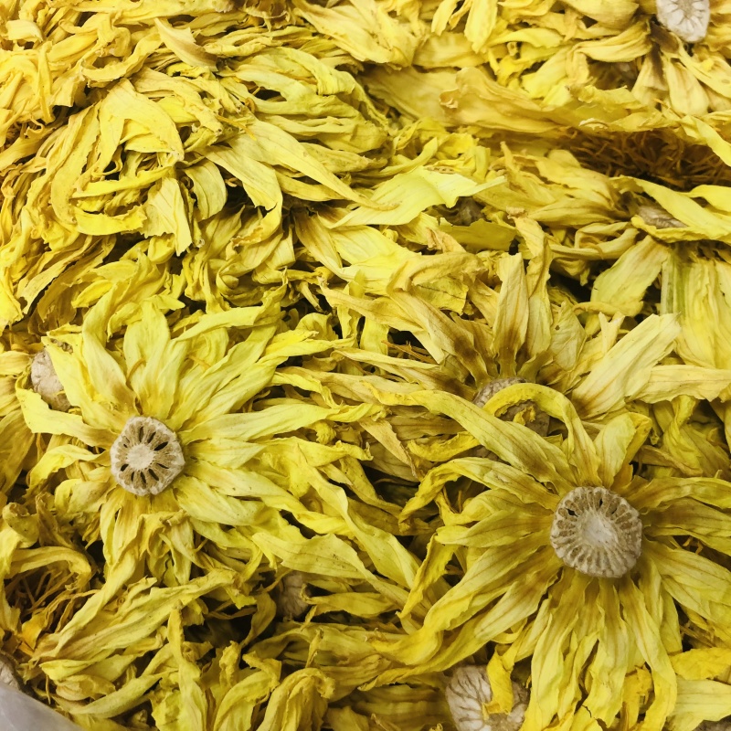 九品香水莲睡莲金莲花