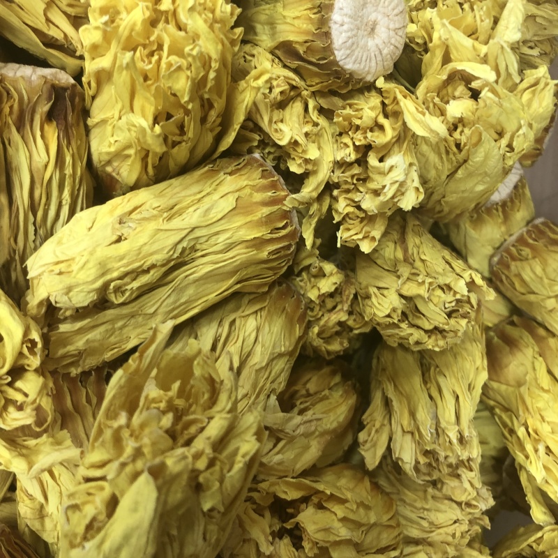 九品香水莲睡莲金莲花