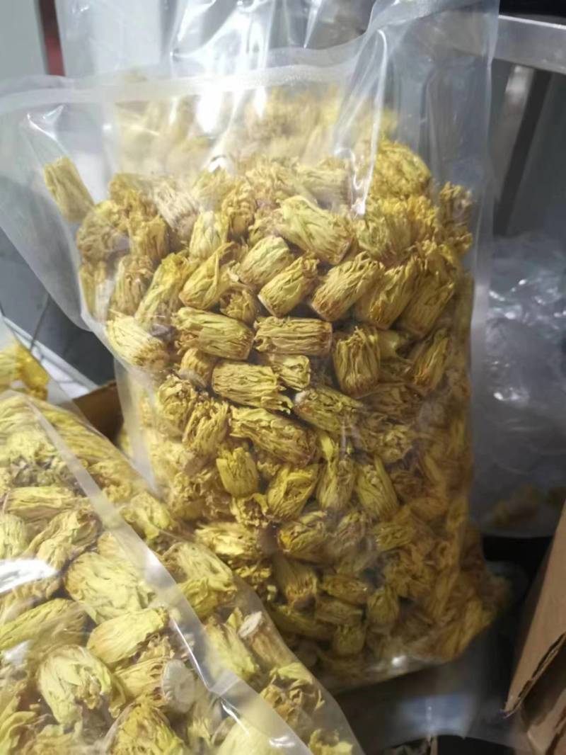 九品香水莲睡莲金莲花
