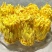 九品香水莲睡莲金莲花