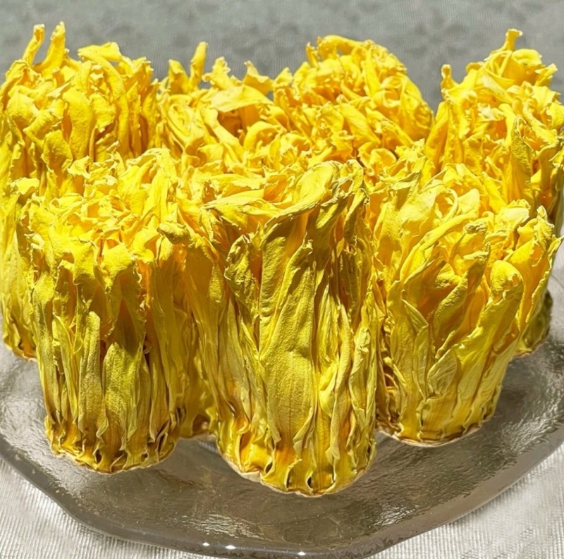 九品香水莲睡莲金莲花