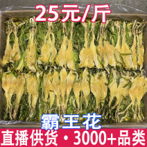 霸王花批发霸王花干货2024年新货鲜霸王花地摊货源新鲜剑